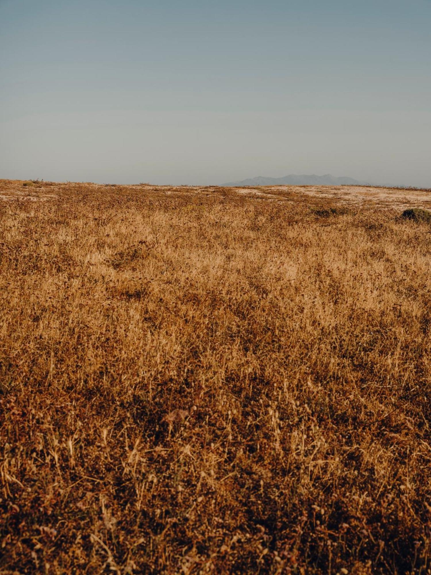 The Wild By Interni Kalafati Exterior foto